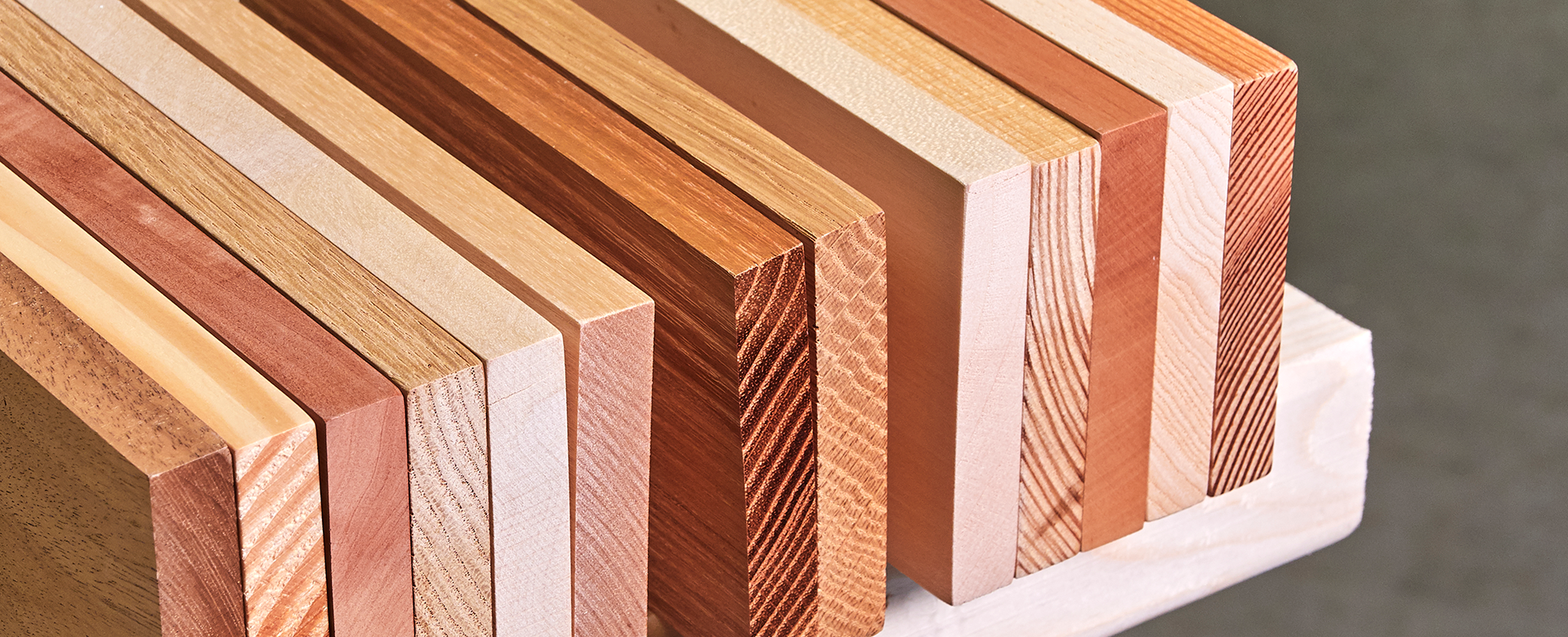 Nebeneinander angeordnete Muster unterschiedlicher Holzarten zeigen die Vielfältigkeit von Holz.