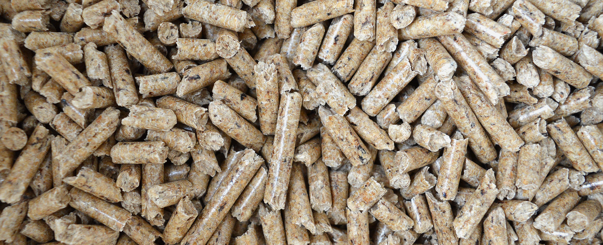 Pellets aus Holz liegen auf einem Haufen.