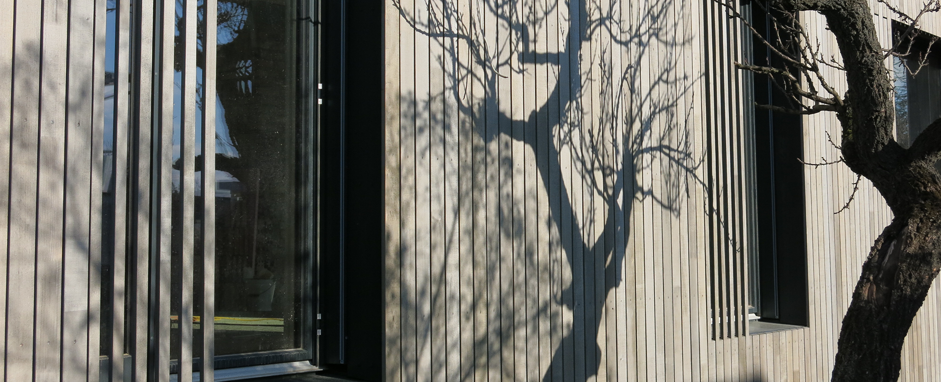 Shadow cast by a small tree on the sunlit wooden façade.
