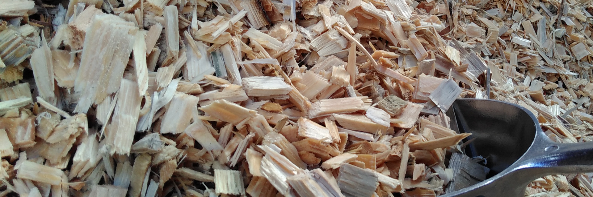 Hand shovel for sampling is stuck in a pile of wood chips.