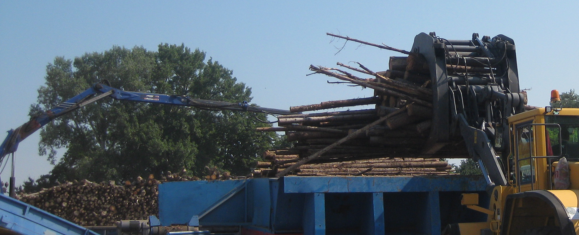A yellow excavator moves logs of different dimensions with its gripper.