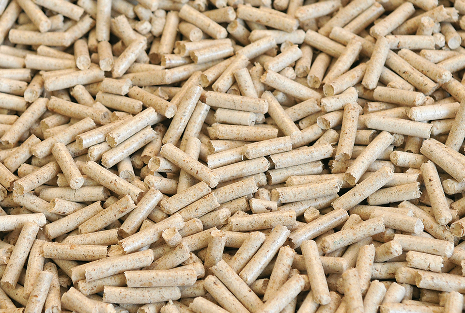 Aufgehäufte Pellets aus Holz.