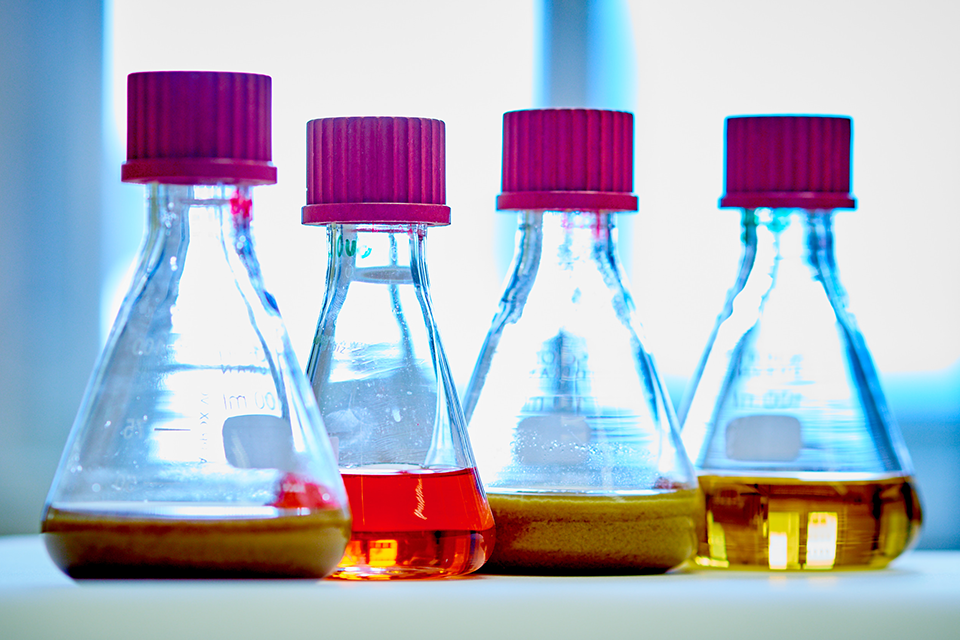 Four glass flasks with coloured screw caps filled with different coloured liquids.