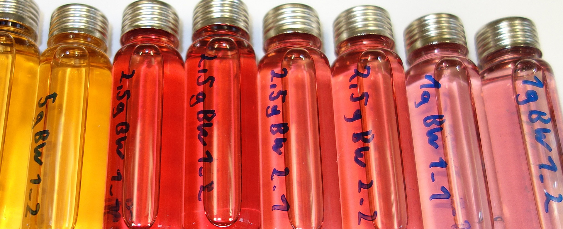 Eight bottles with screw caps are filled with liquids.