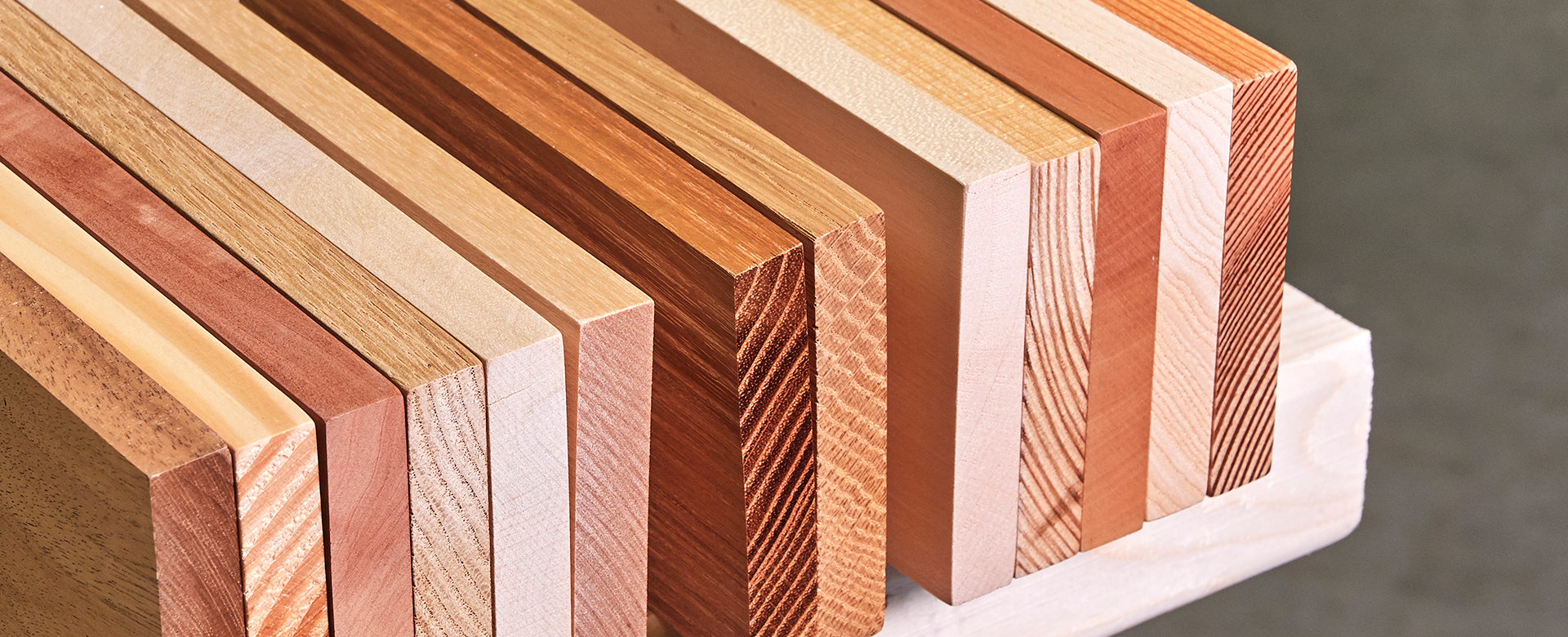 Nebeneinander angeordnete Muster unterschiedlicher Holzarten zeigen die Vielfältigkeit von Holz.