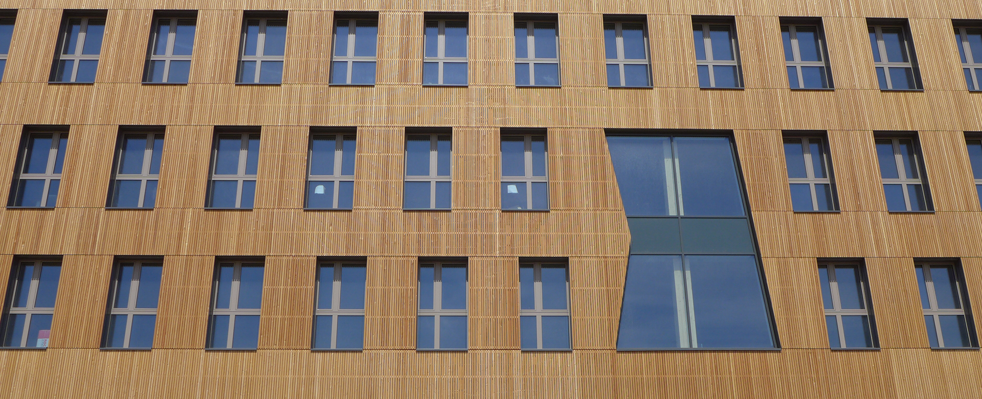 Durch Fenster gegliederte Holzfassade des Holzhochhauses in der Wiener Seestadt.