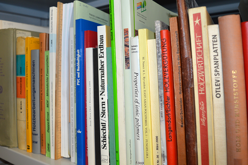 Verschiedenfärbige Buchrücken im Regal der Bibliothek der Hozforschung Austria.